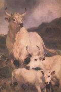 Sir Edwin Landseer Wild Cattle at Chillingham (nn03) oil painting reproduction